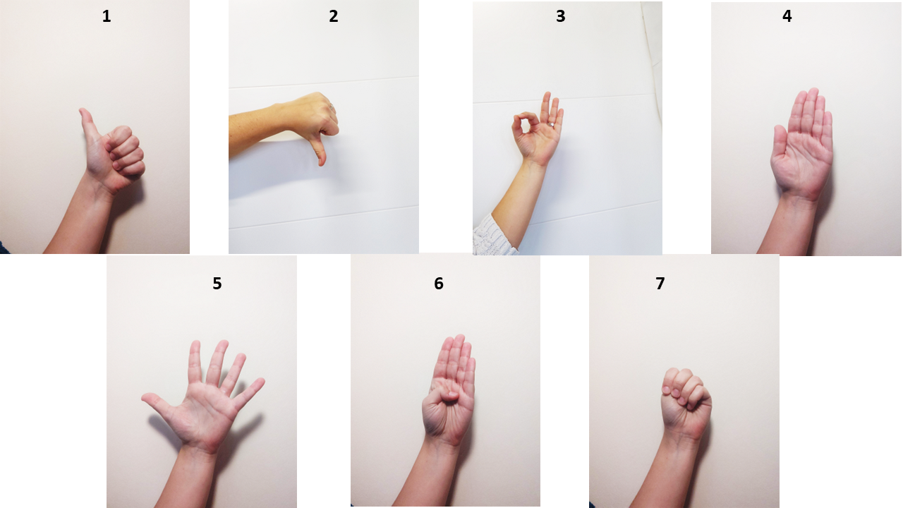 Hand Landmarks for SOS gesture (ALMOST) - Datasets - open.scayle.es