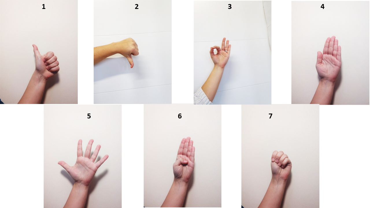 Hand Landmarks For Sos Gesture (almost) - Datasets - Open.scayle.es